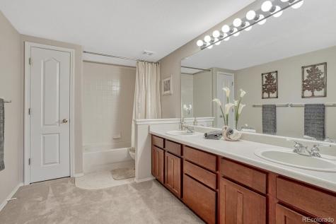 1580 Capadaro Court Monument CO 80132