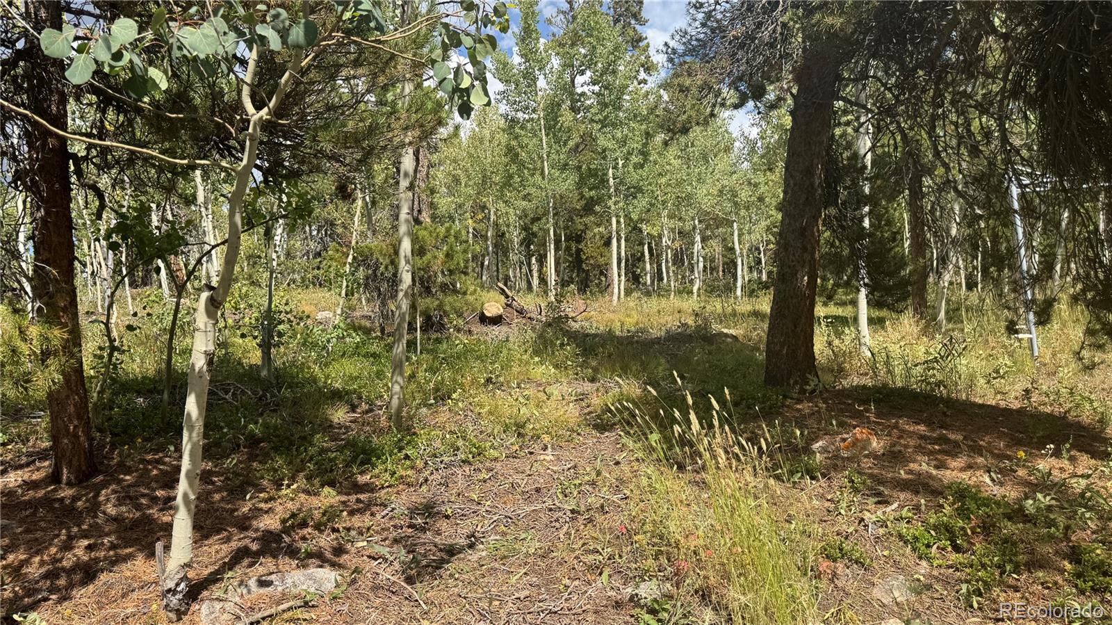 83 Peak View Drive Black Hawk CO 80422