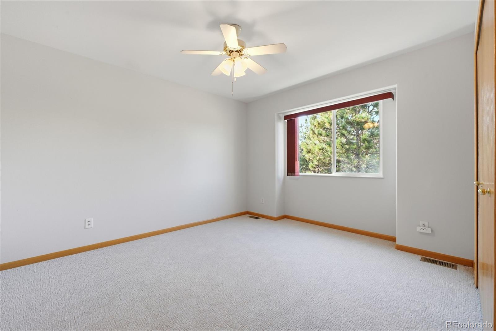 8985 S Blue Sage Circle Colorado Springs CO 80908