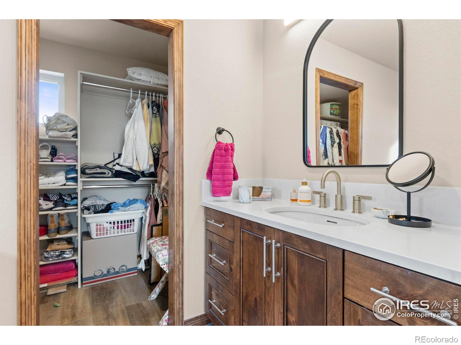 4479 Bragg Lane Wellington CO 80549