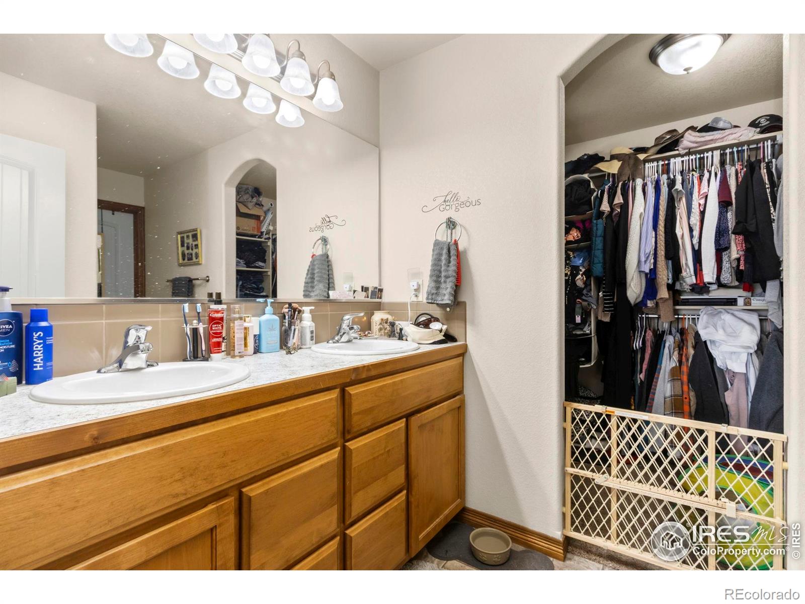 4479 Bragg Lane Wellington CO 80549