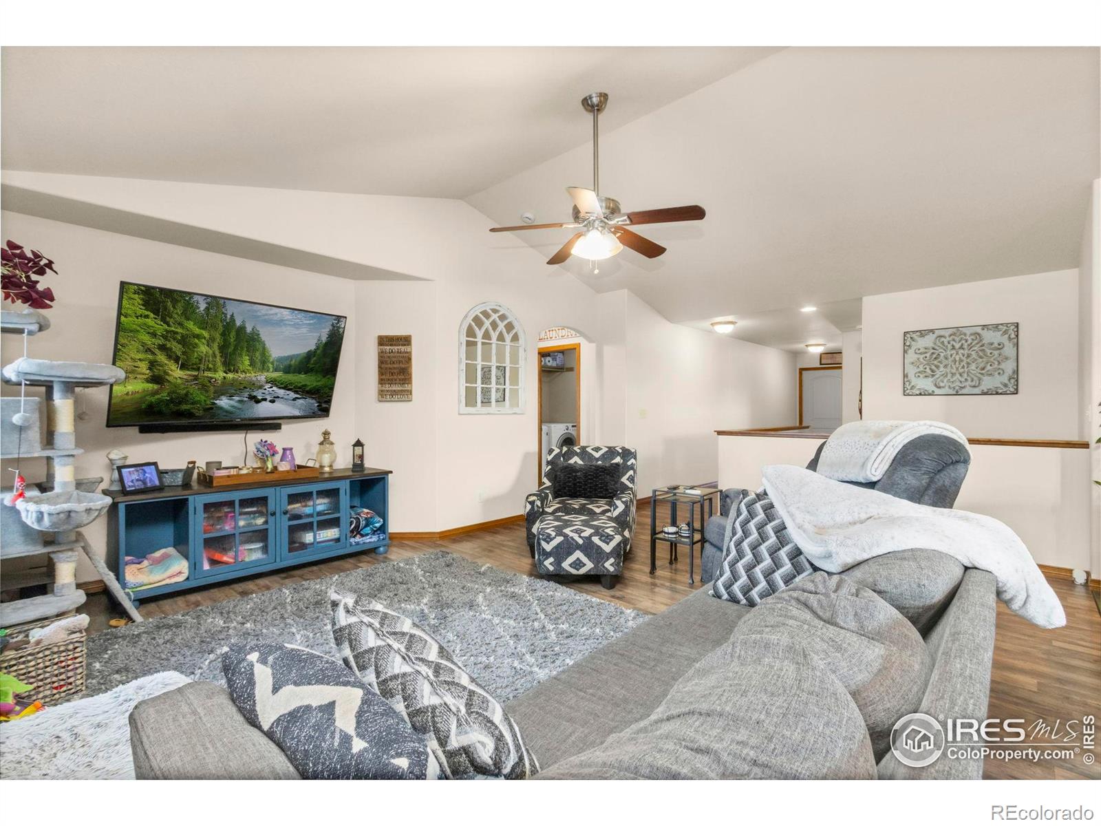 4479 Bragg Lane Wellington CO 80549