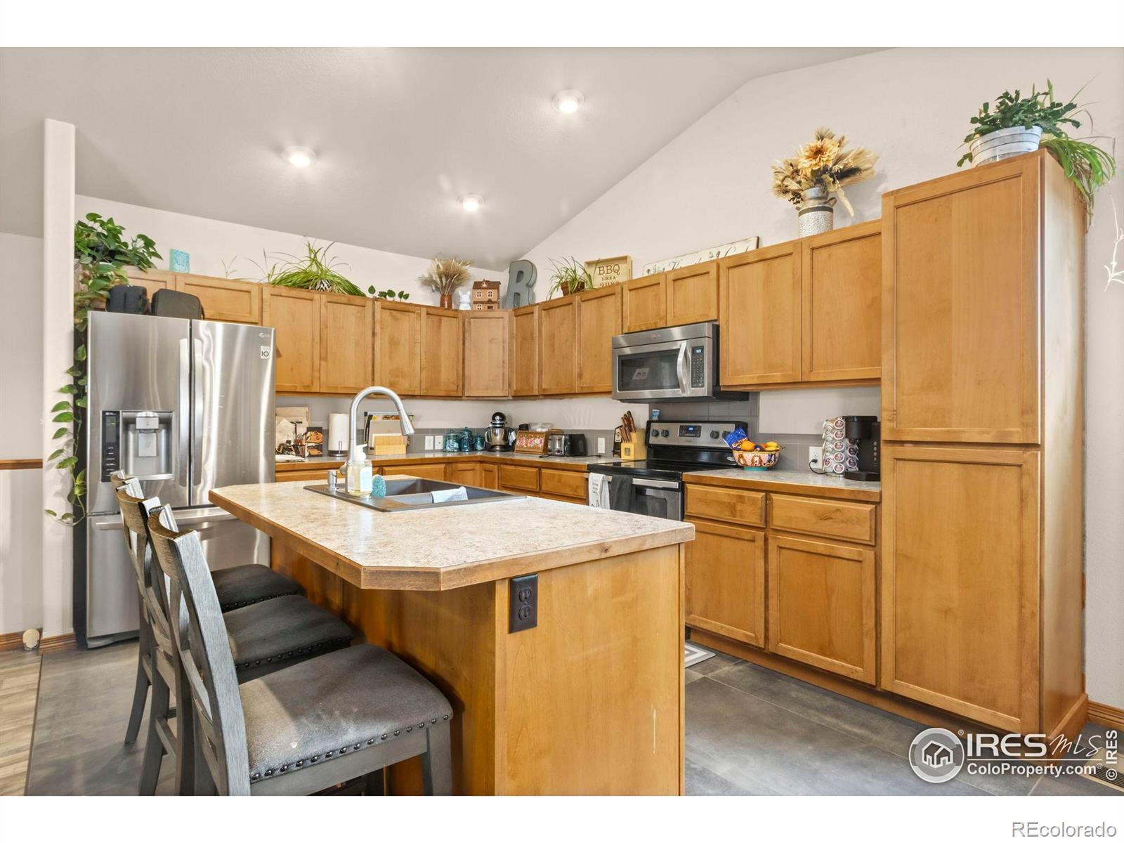4479 Bragg Lane Wellington CO 80549