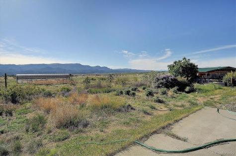 20913 County Road 282 Nathrop CO 81236