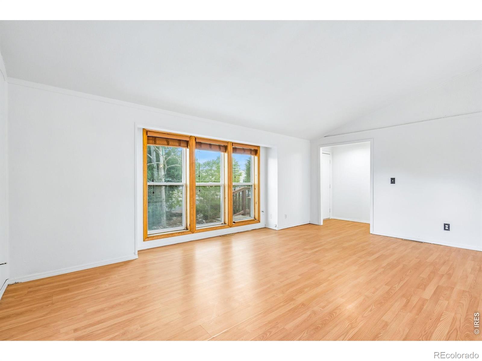 4130 Hayes Avenue Wellington CO 80549