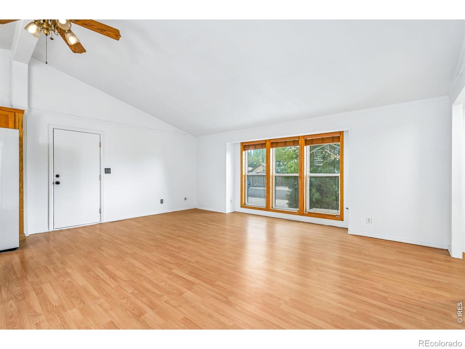 4130 Hayes Avenue Wellington CO 80549