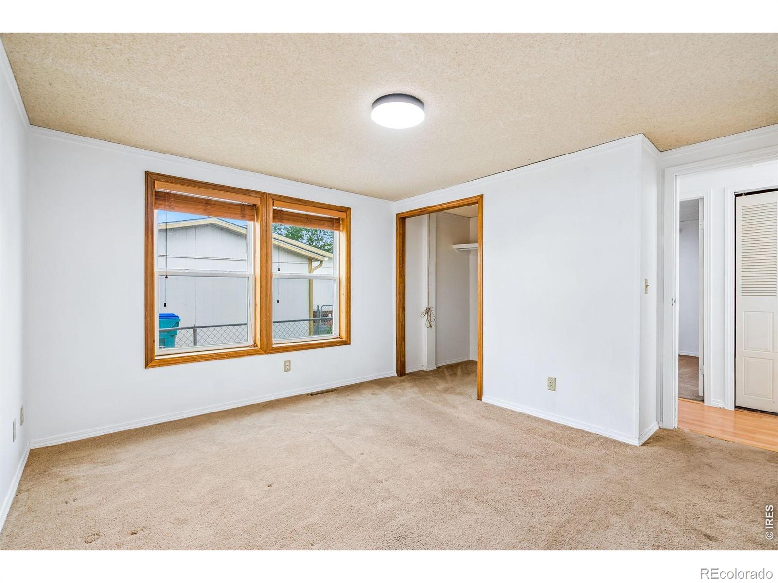 4130 Hayes Avenue Wellington CO 80549