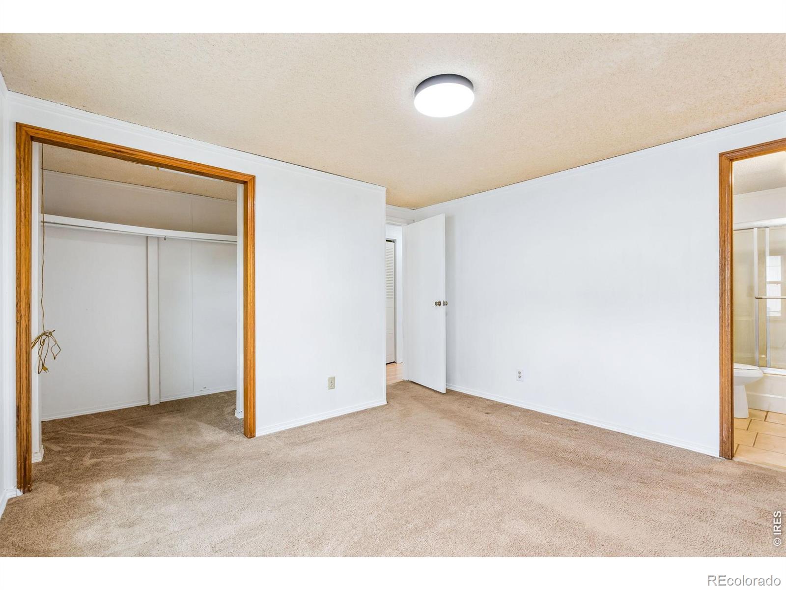 4130 Hayes Avenue Wellington CO 80549
