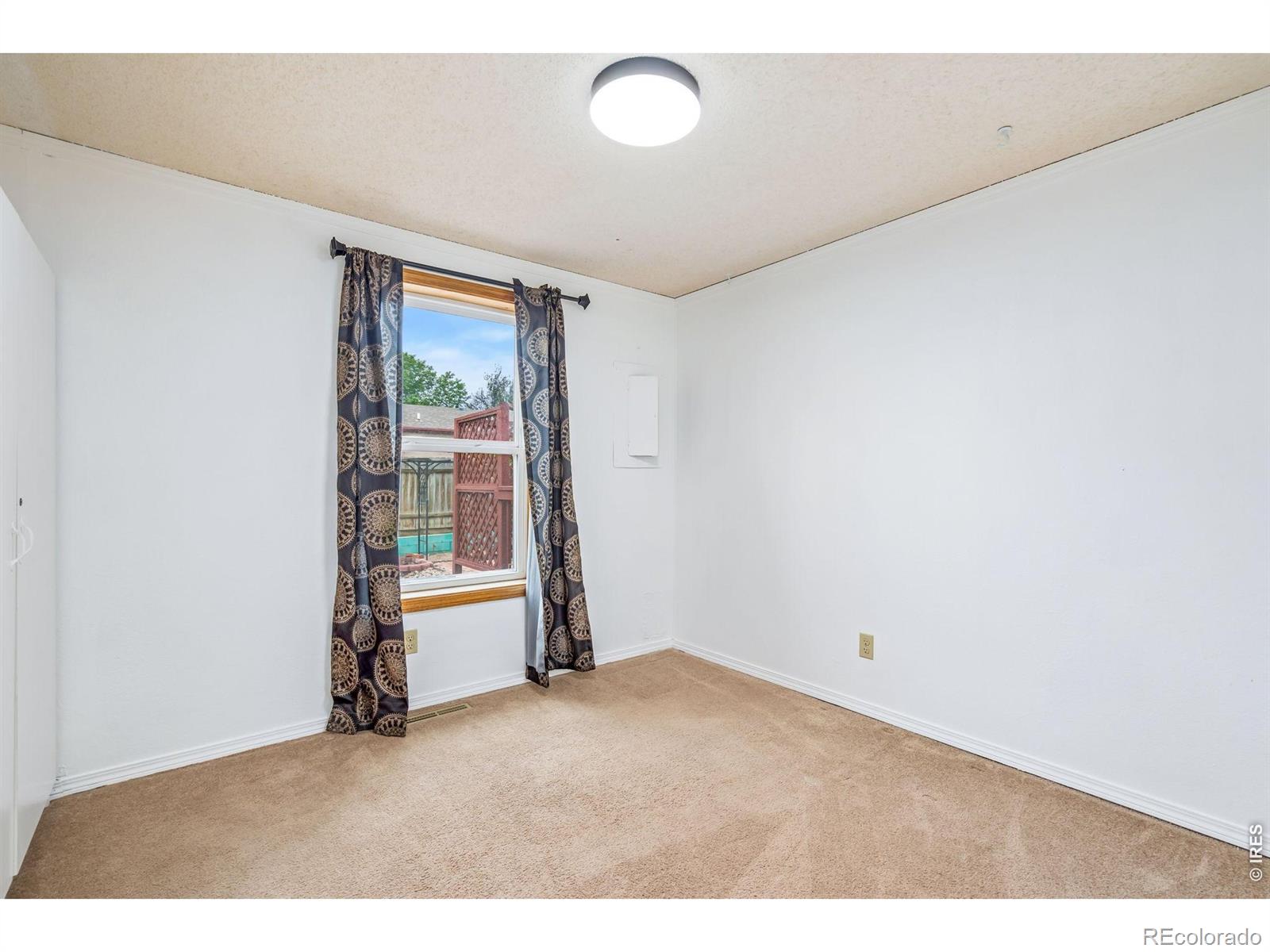 4130 Hayes Avenue Wellington CO 80549