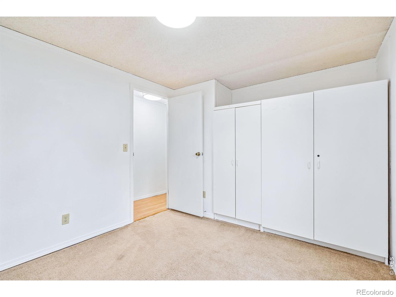 4130 Hayes Avenue Wellington CO 80549