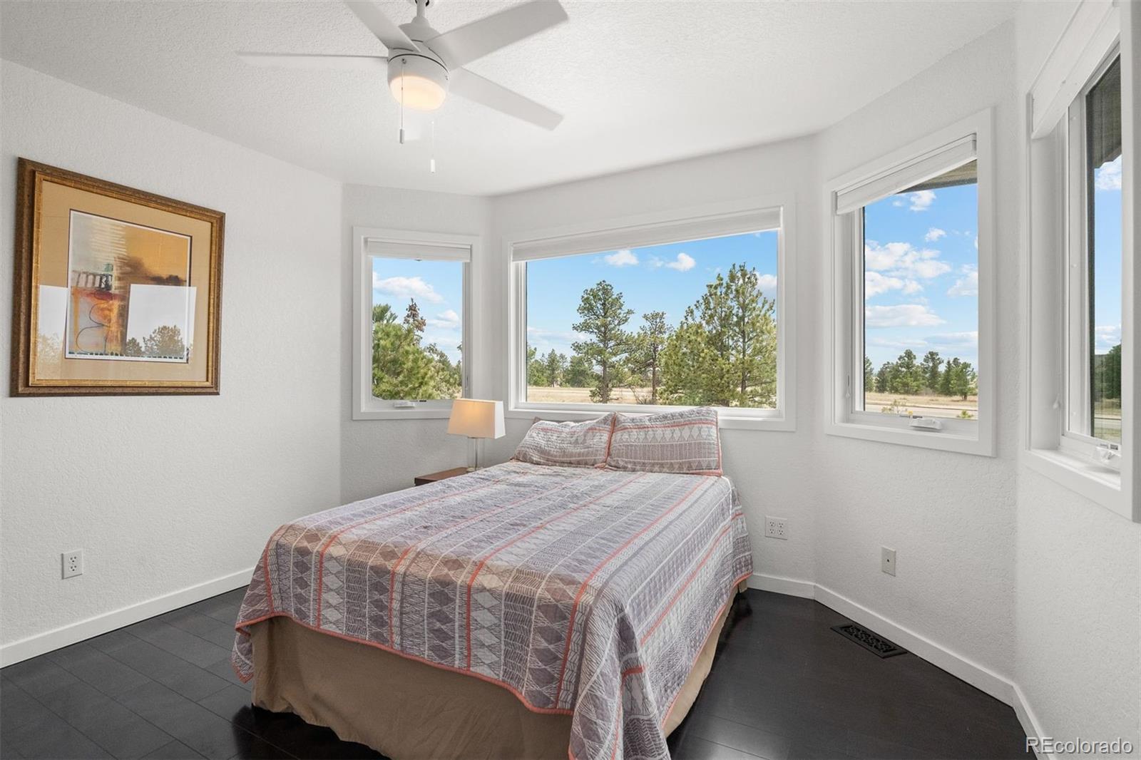 5602 Silver Bluff Court Parker CO 80134