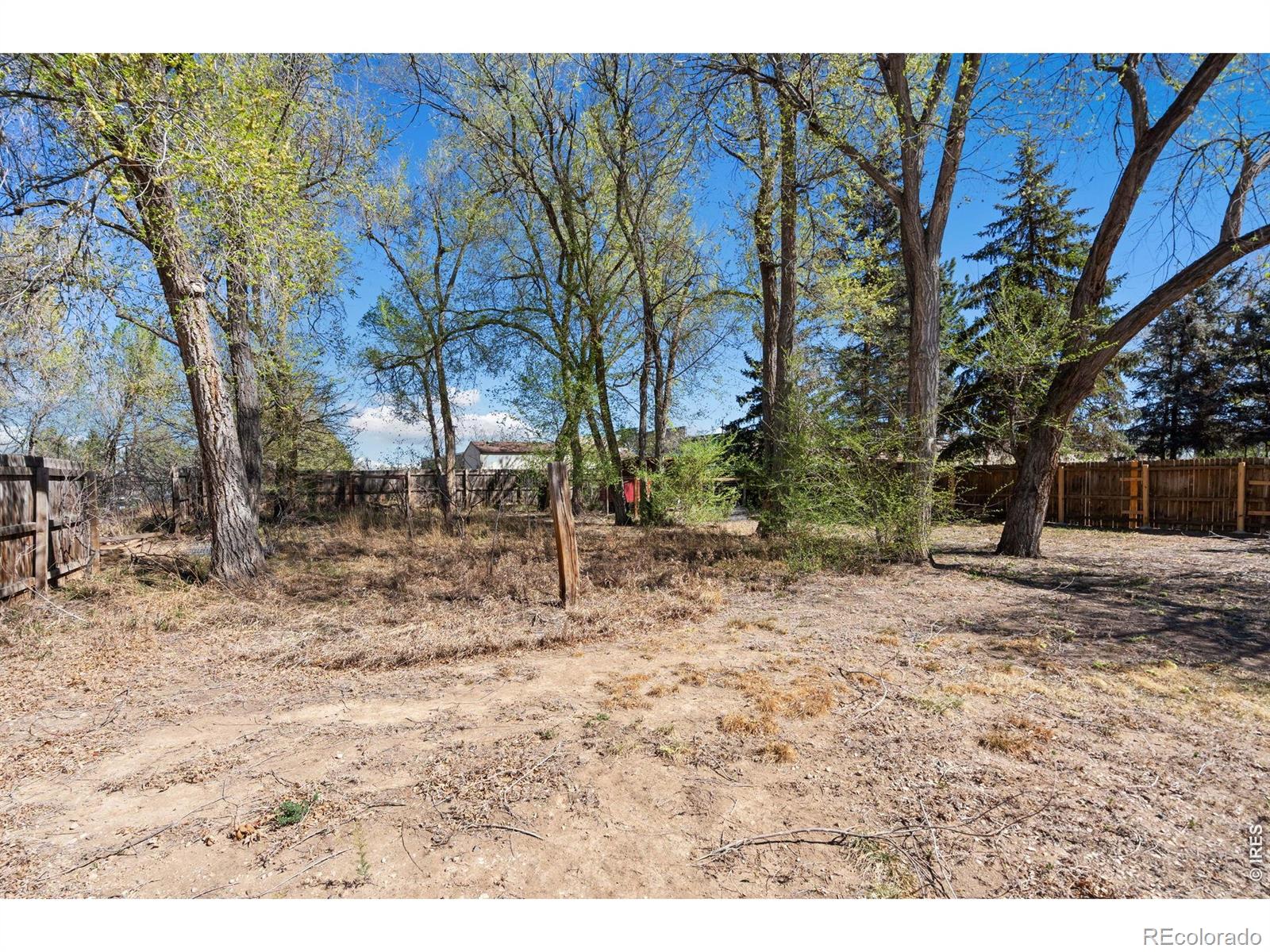 910 E Elizabeth Street Fort Collins CO 80524