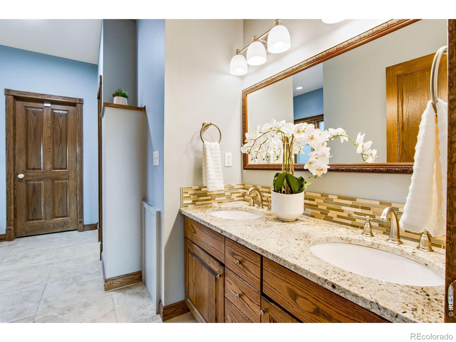 530 Linden View Drive Fort Collins CO 80524