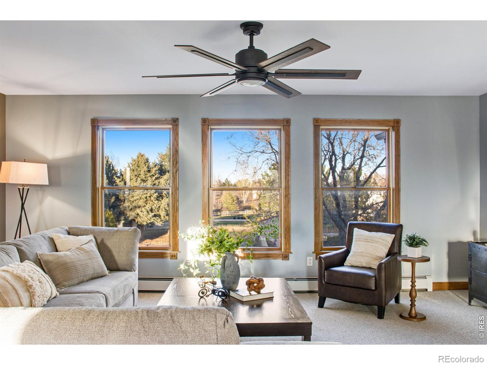 530 Linden View Drive Fort Collins CO 80524