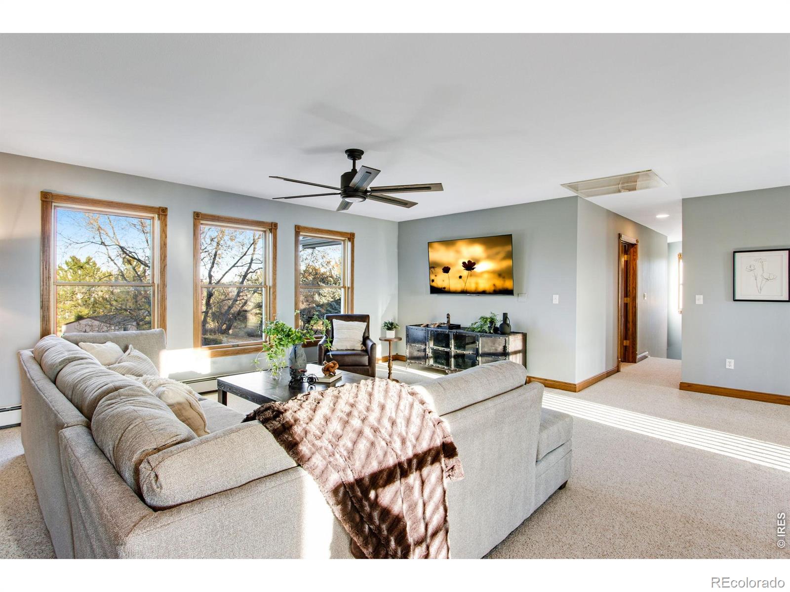 530 Linden View Drive Fort Collins CO 80524