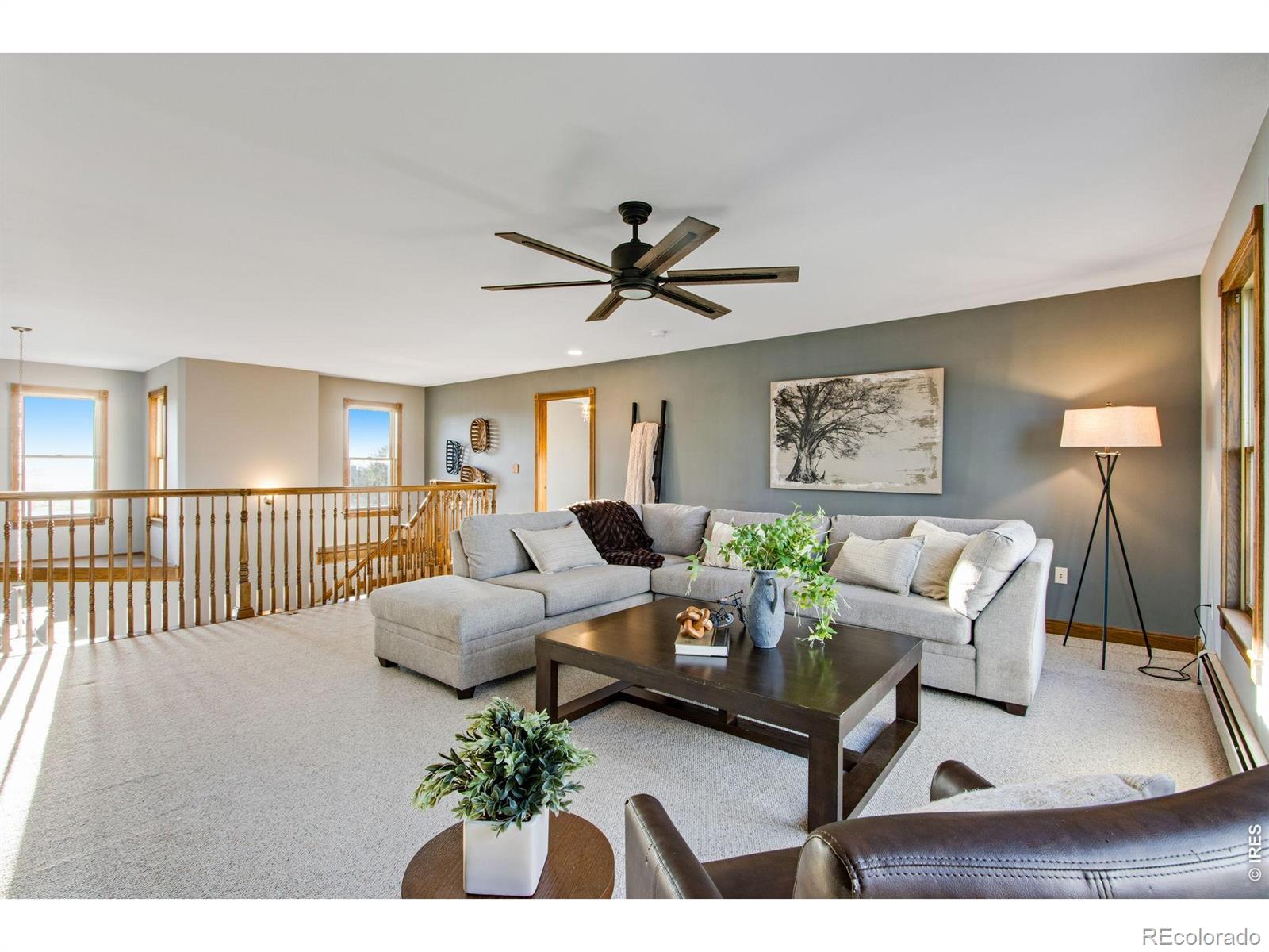 530 Linden View Drive Fort Collins CO 80524