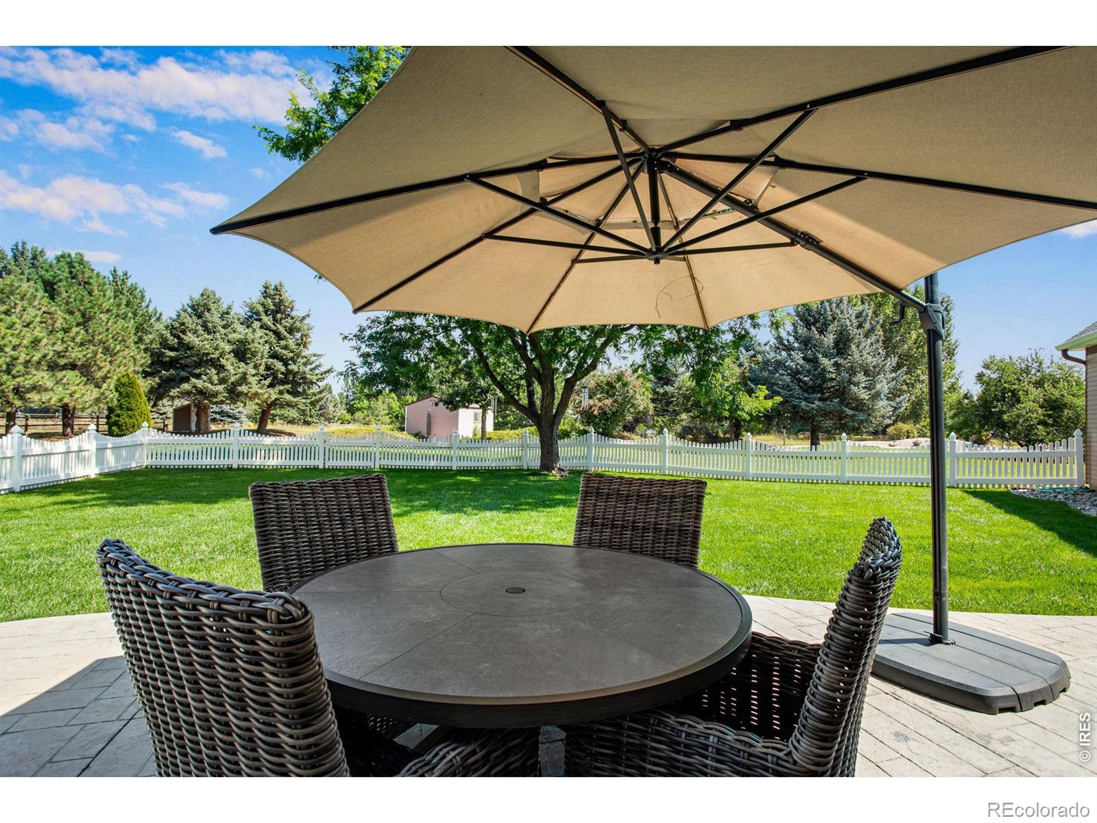 530 Linden View Drive Fort Collins CO 80524