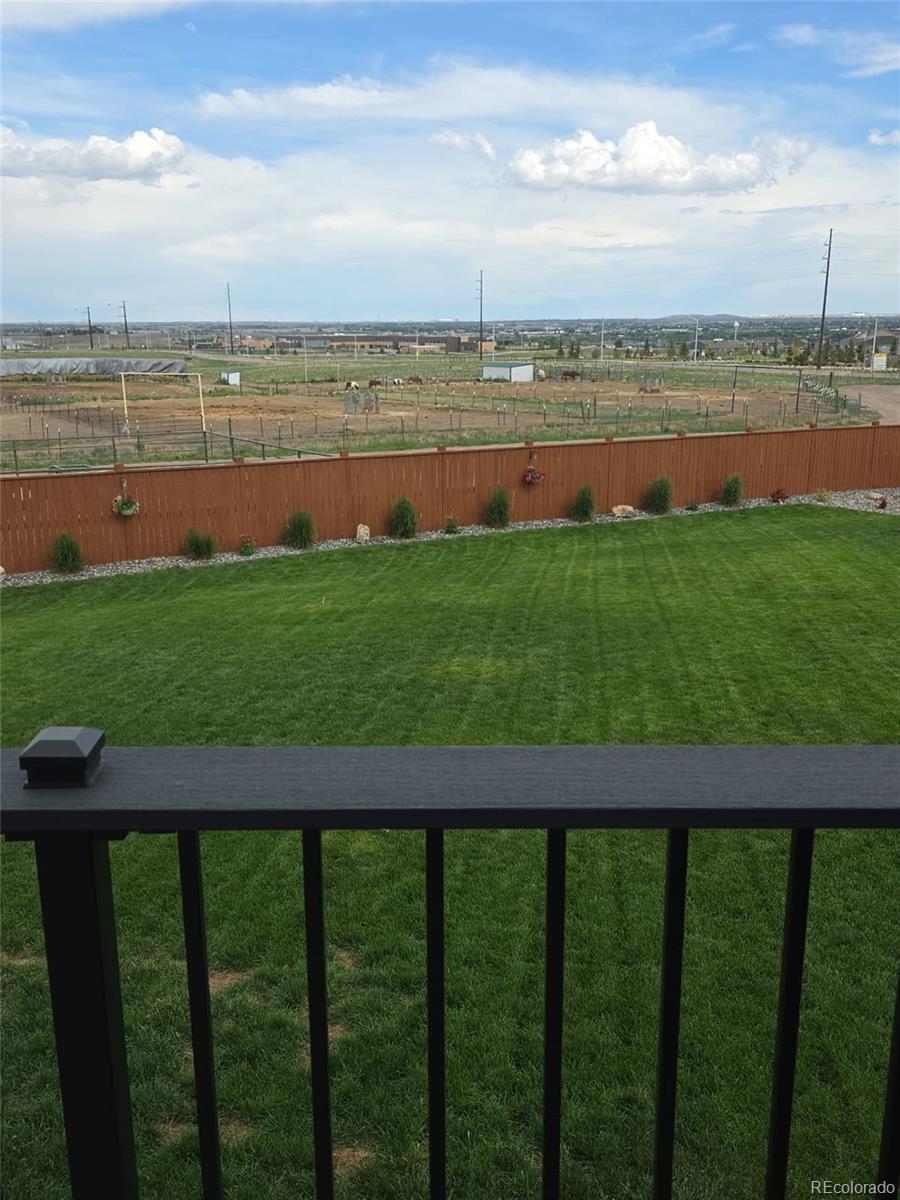 13638 Valentia Street Thornton CO 80602