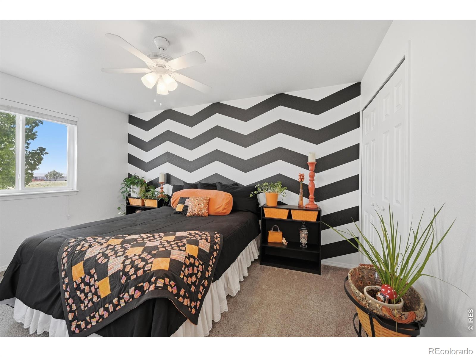2906 Hawk Drive Evans CO 80620