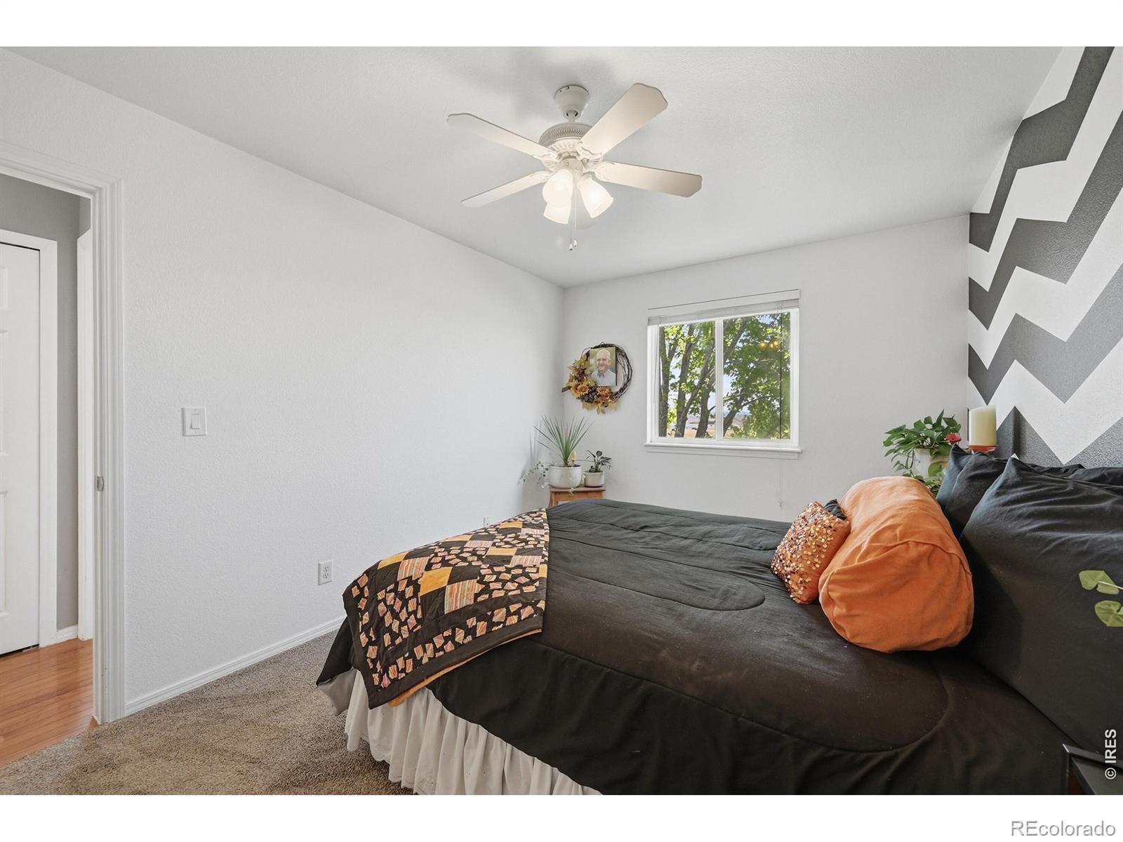 2906 Hawk Drive Evans CO 80620