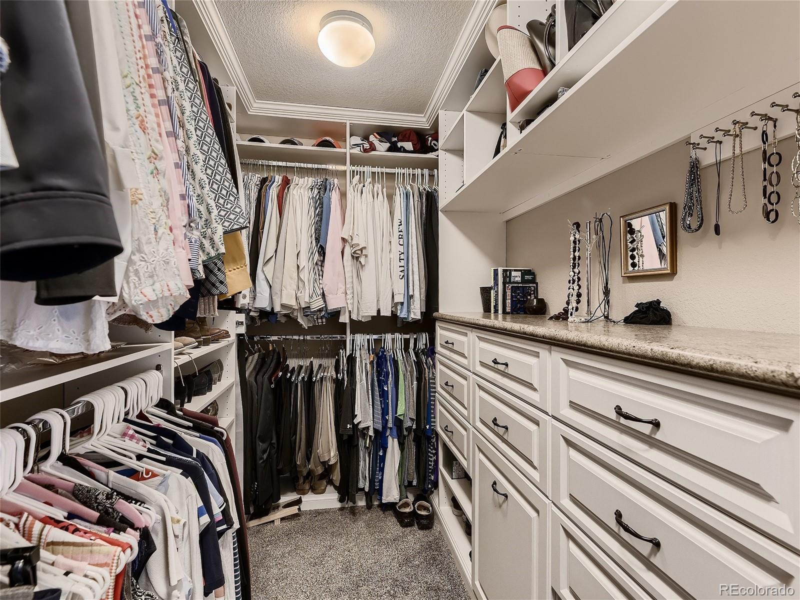 10167 Nadine Avenue Parker CO 80134