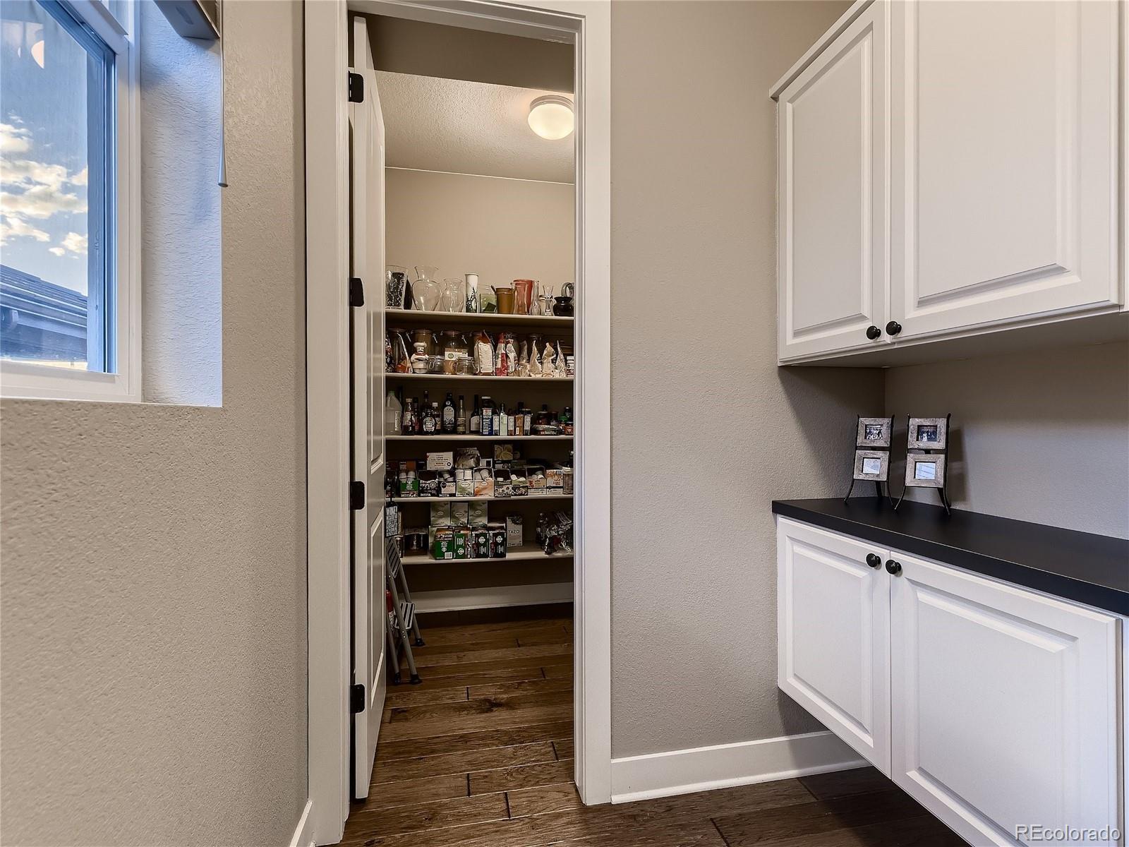 10167 Nadine Avenue Parker CO 80134