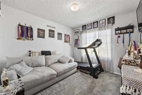 265 Talus Road Monument CO 80132