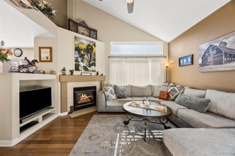 265 Talus Road Monument CO 80132