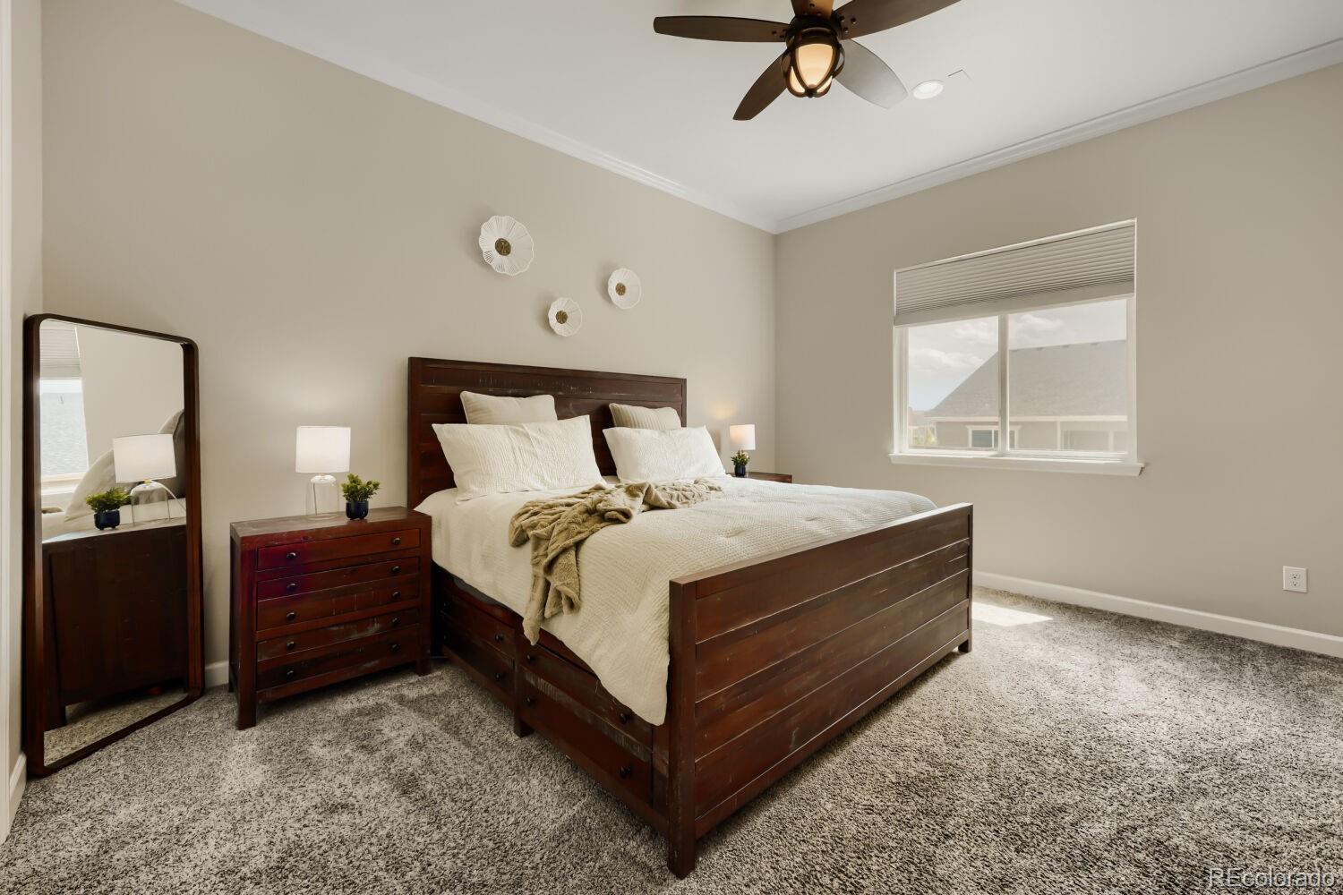 6698 Palmetto Court Castle Rock CO 80108