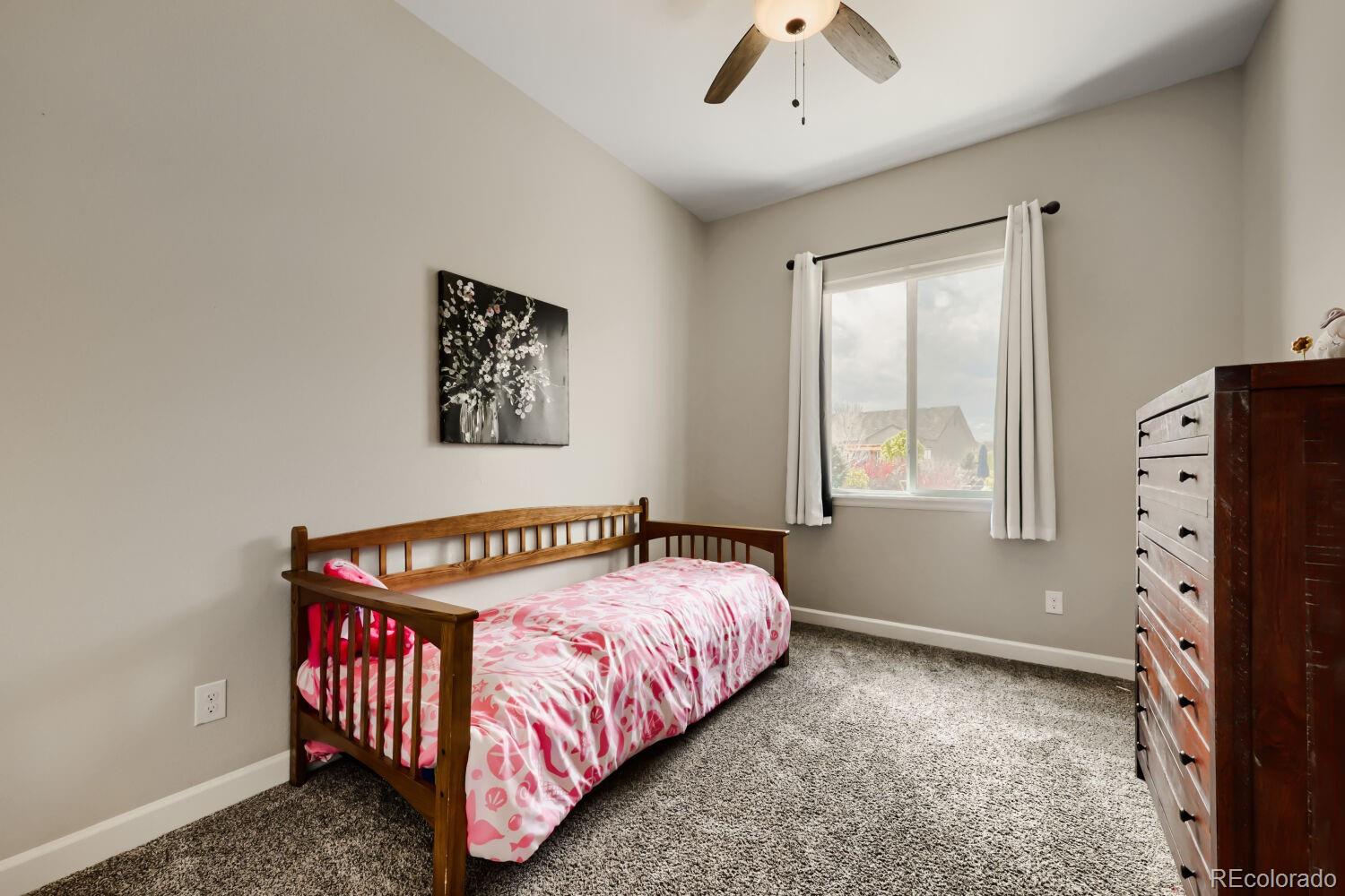 6698 Palmetto Court Castle Rock CO 80108