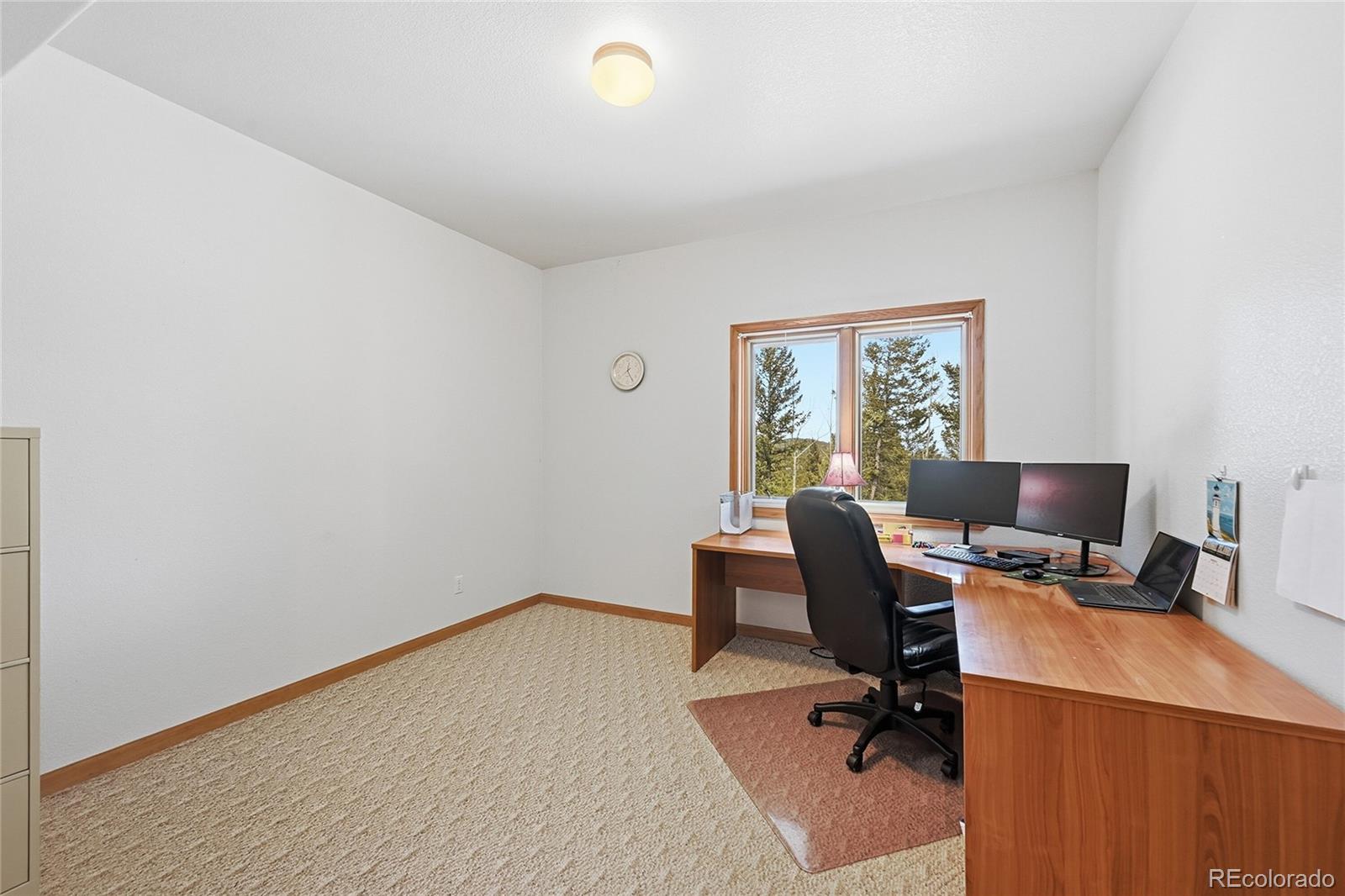 31842 Steven Way Conifer CO 80433