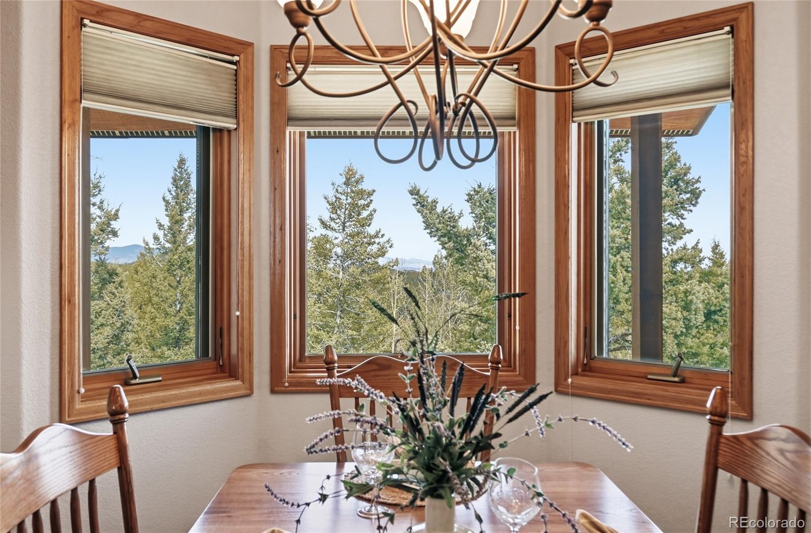 31842 Steven Way Conifer CO 80433