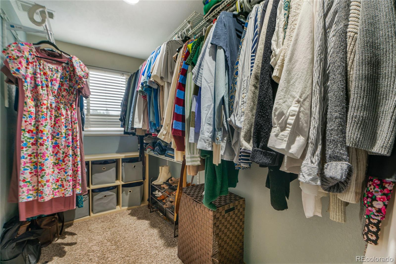 10651 Newcombe Street Broomfield CO 80021