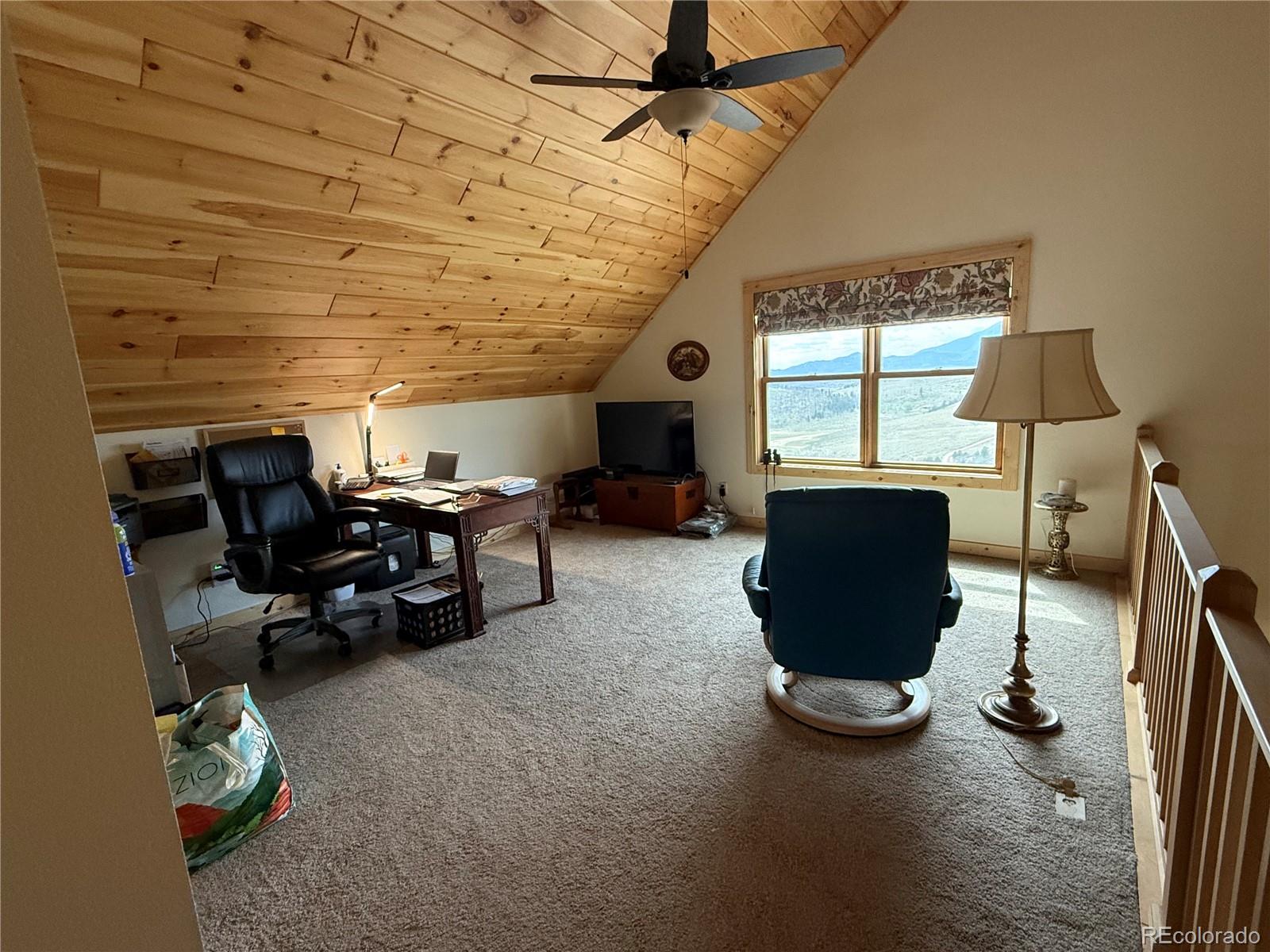 406-449 Schierl Road Fort Garland CO 81133