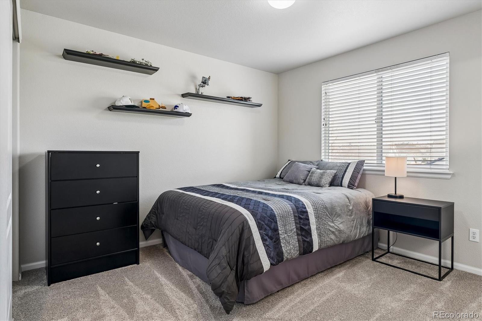 4324 Ivycrest Point Highlands Ranch CO 80130