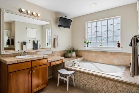 4324 Ivycrest Point Highlands Ranch CO 80130