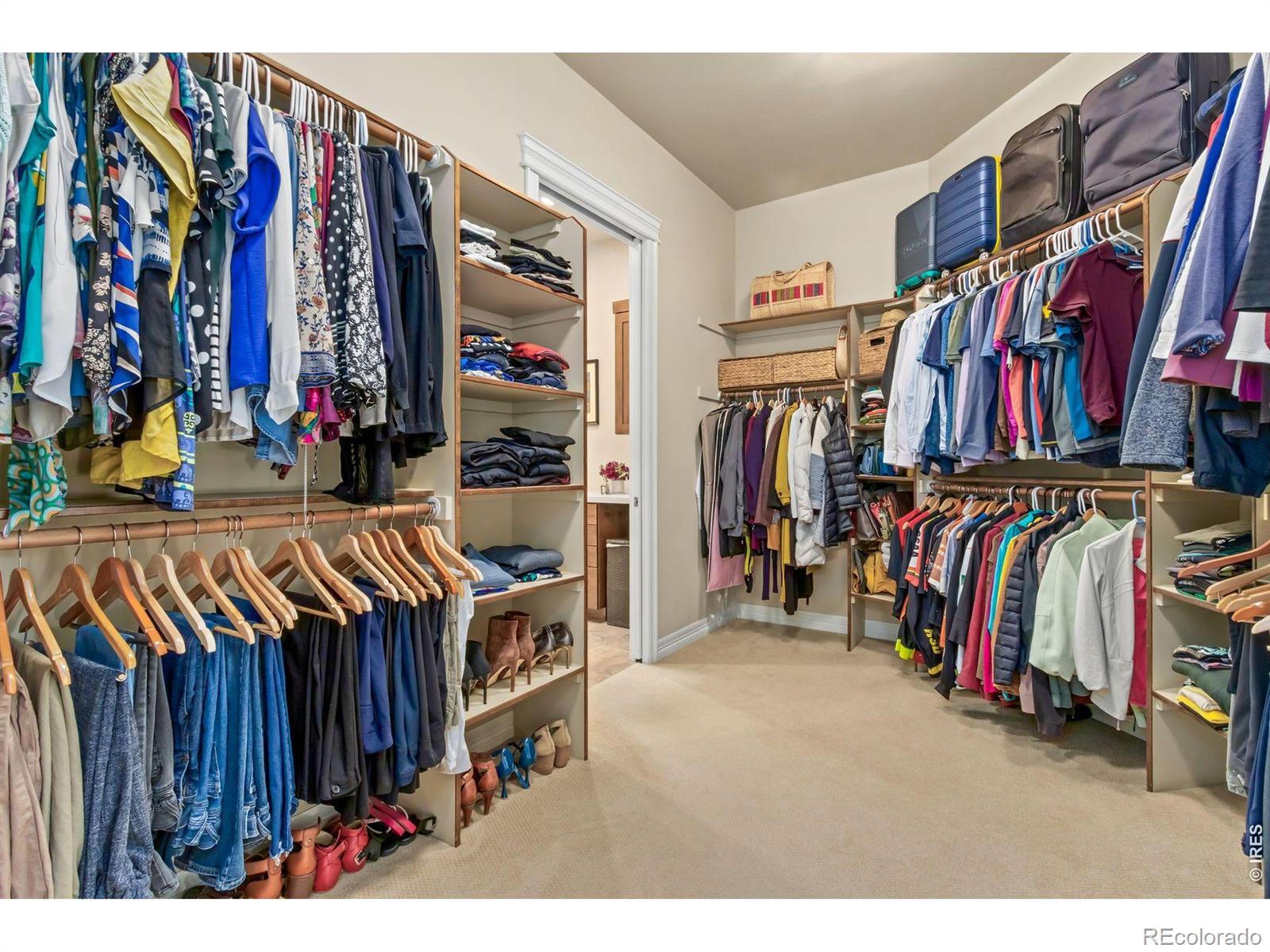 6846 Grand Park Drive Timnath CO 80547