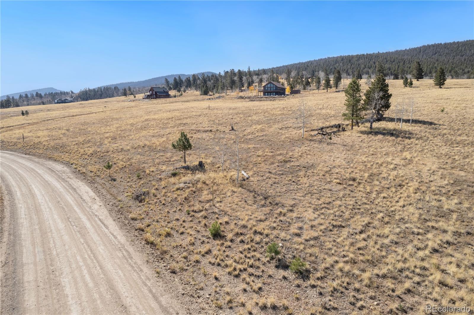 1505 Pitchfork Road Hartsel CO 80449