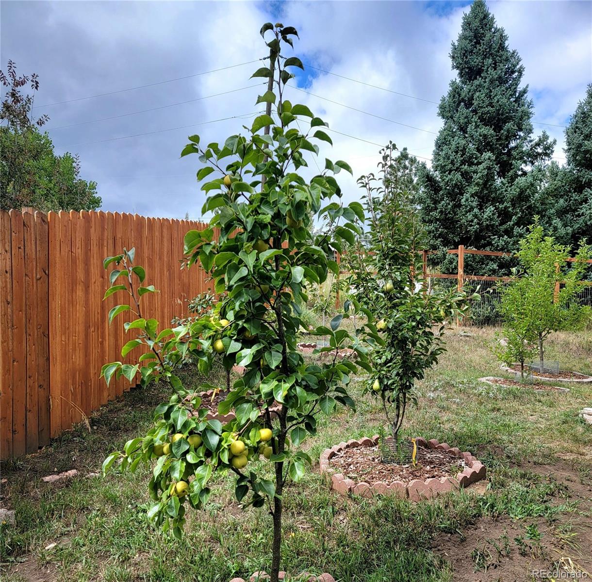 570 Columbine Avenue Golden CO 80401