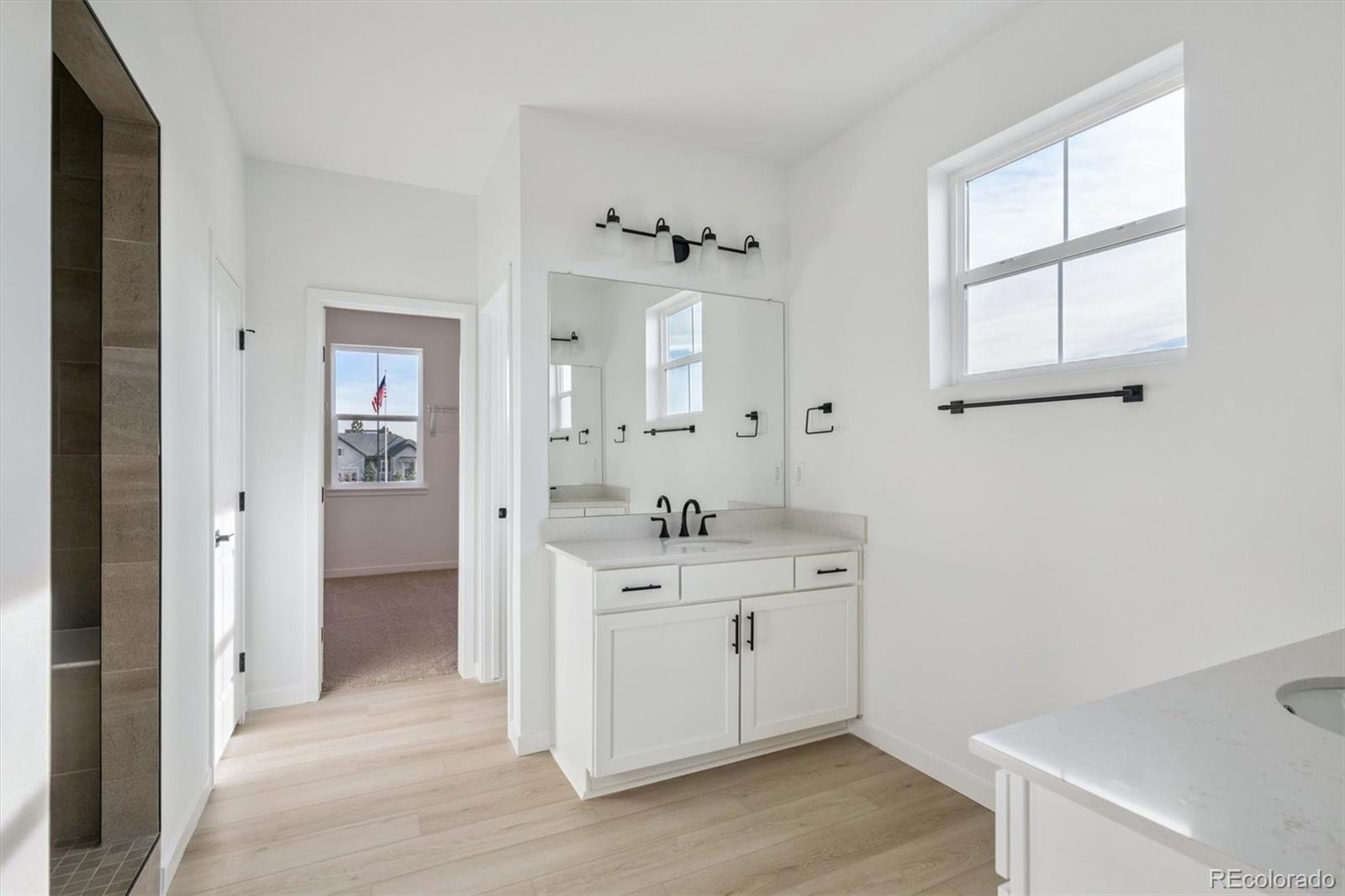 3801 Emerald Shore Circle Loveland CO 80538