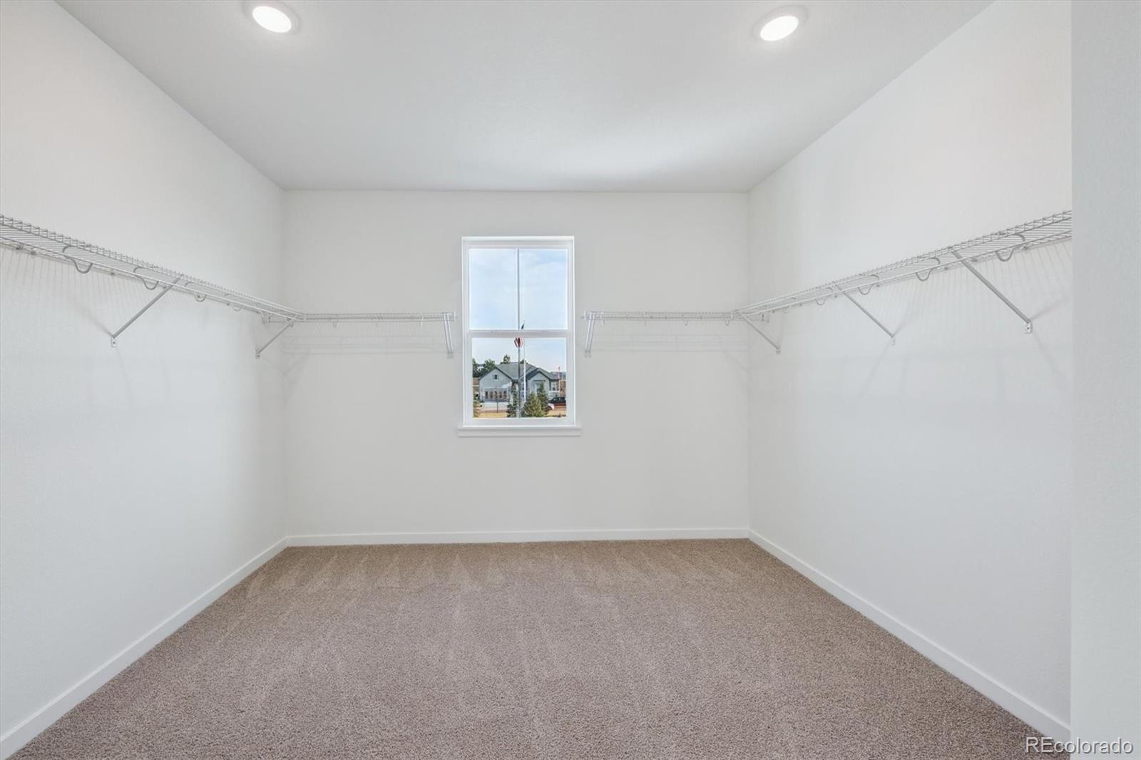 3801 Emerald Shore Circle Loveland CO 80538