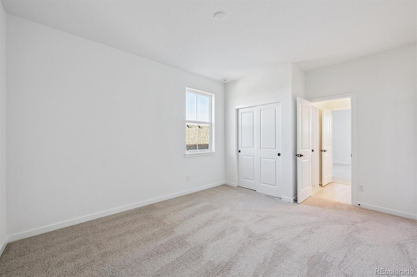 3801 Emerald Shore Circle Loveland CO 80538