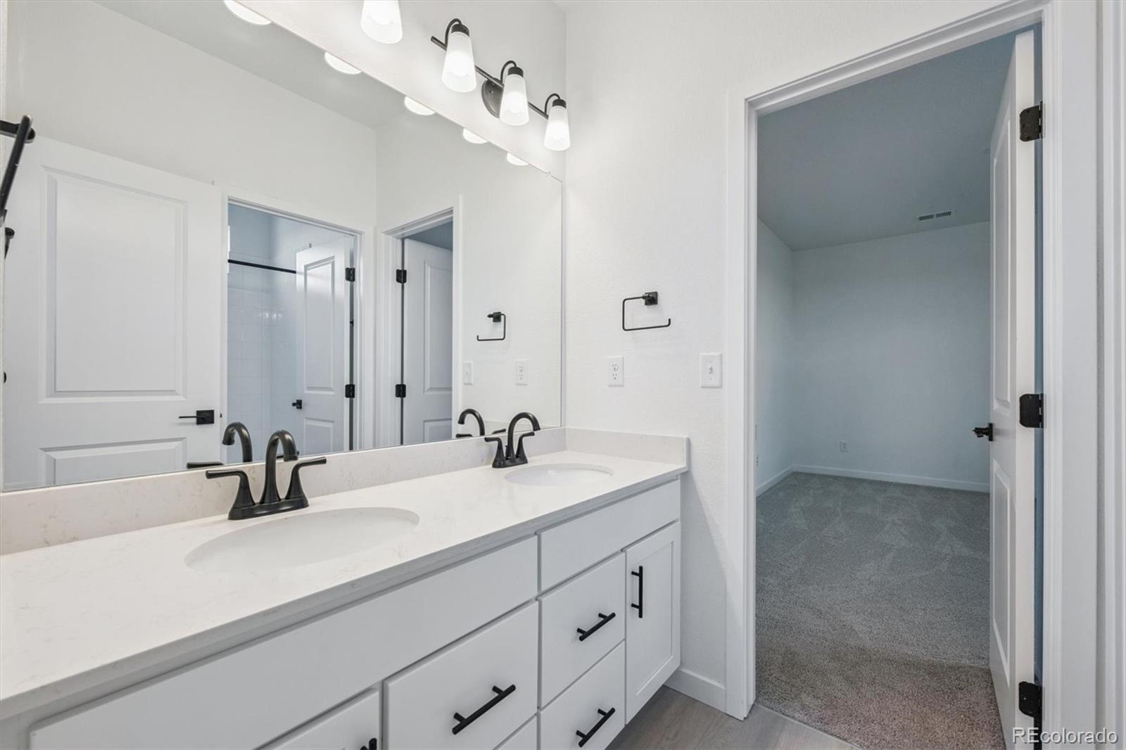 3801 Emerald Shore Circle Loveland CO 80538