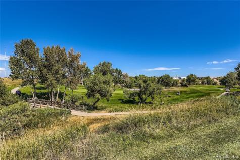 102 Canongate Lane Highlands Ranch CO 80130