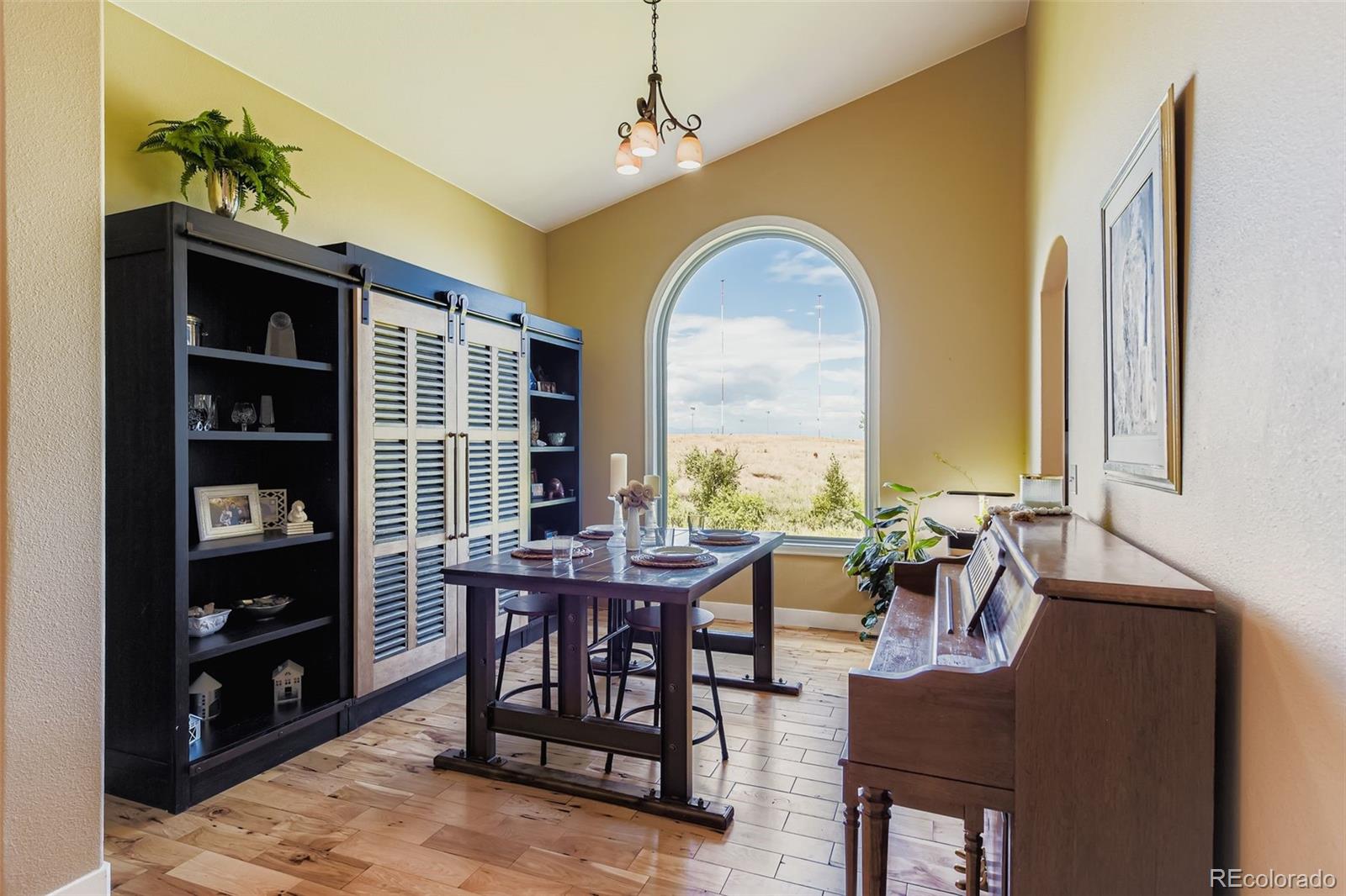 102 Canongate Lane Highlands Ranch CO 80130