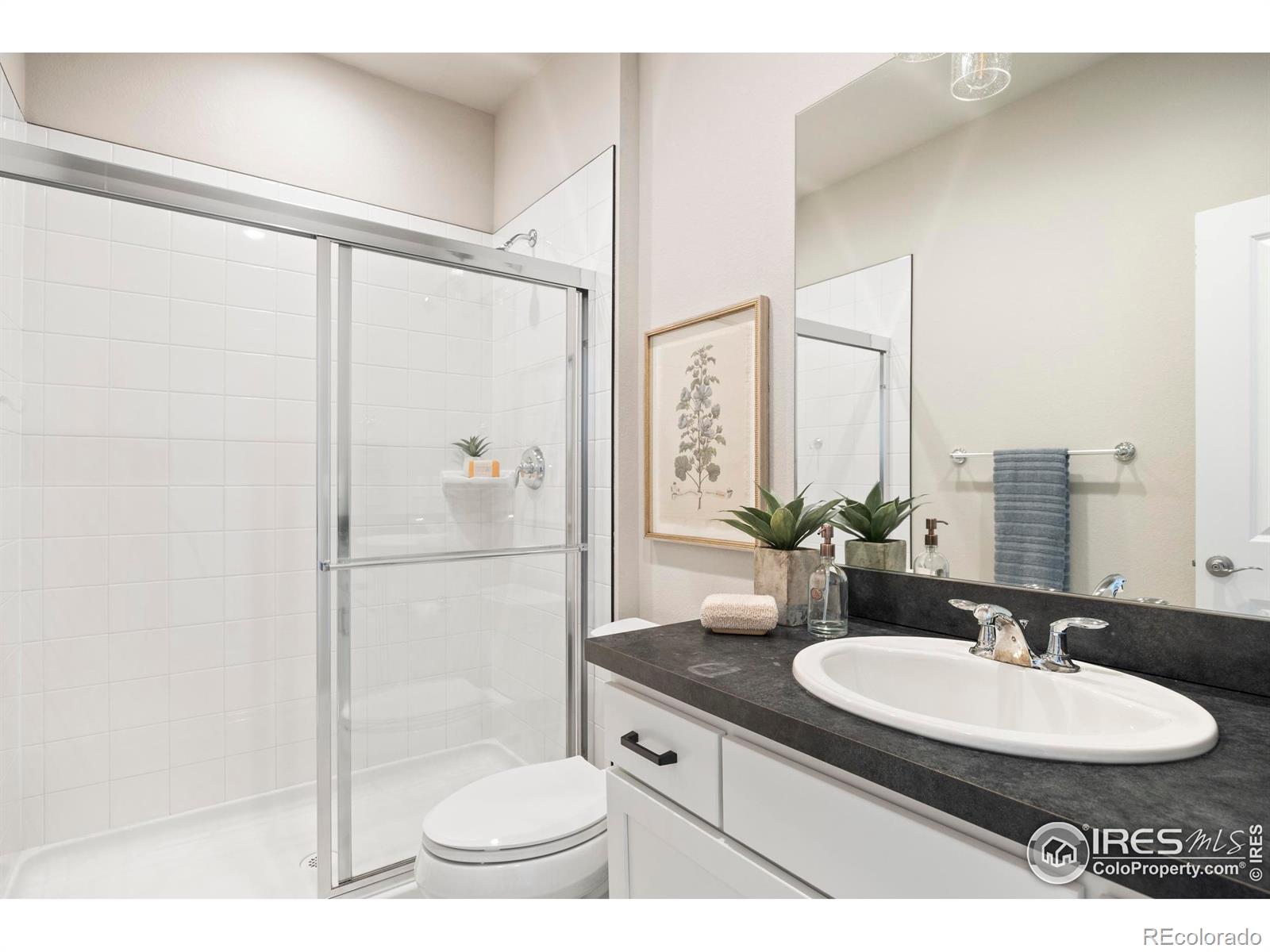 5757 Isabella Avenue Timnath CO 80547