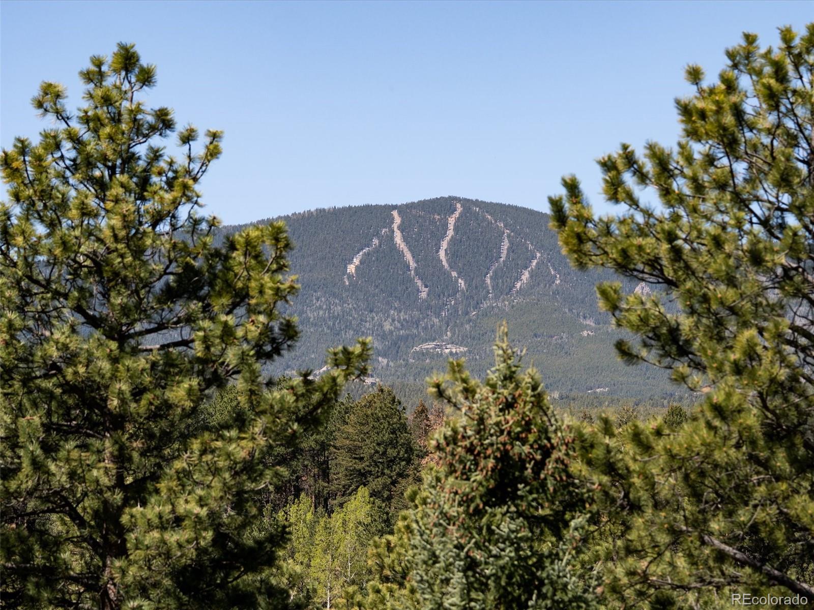 8731 Grizzly Way Evergreen CO 80439