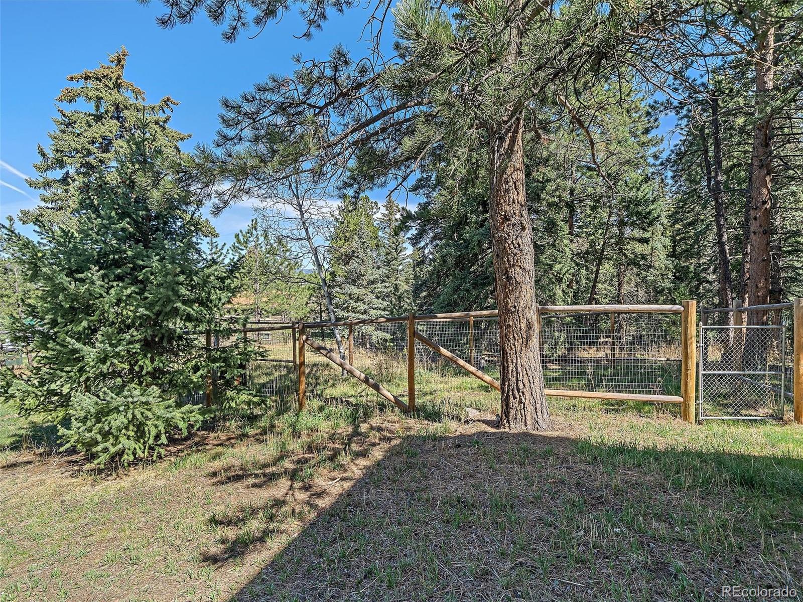 8731 Grizzly Way Evergreen CO 80439