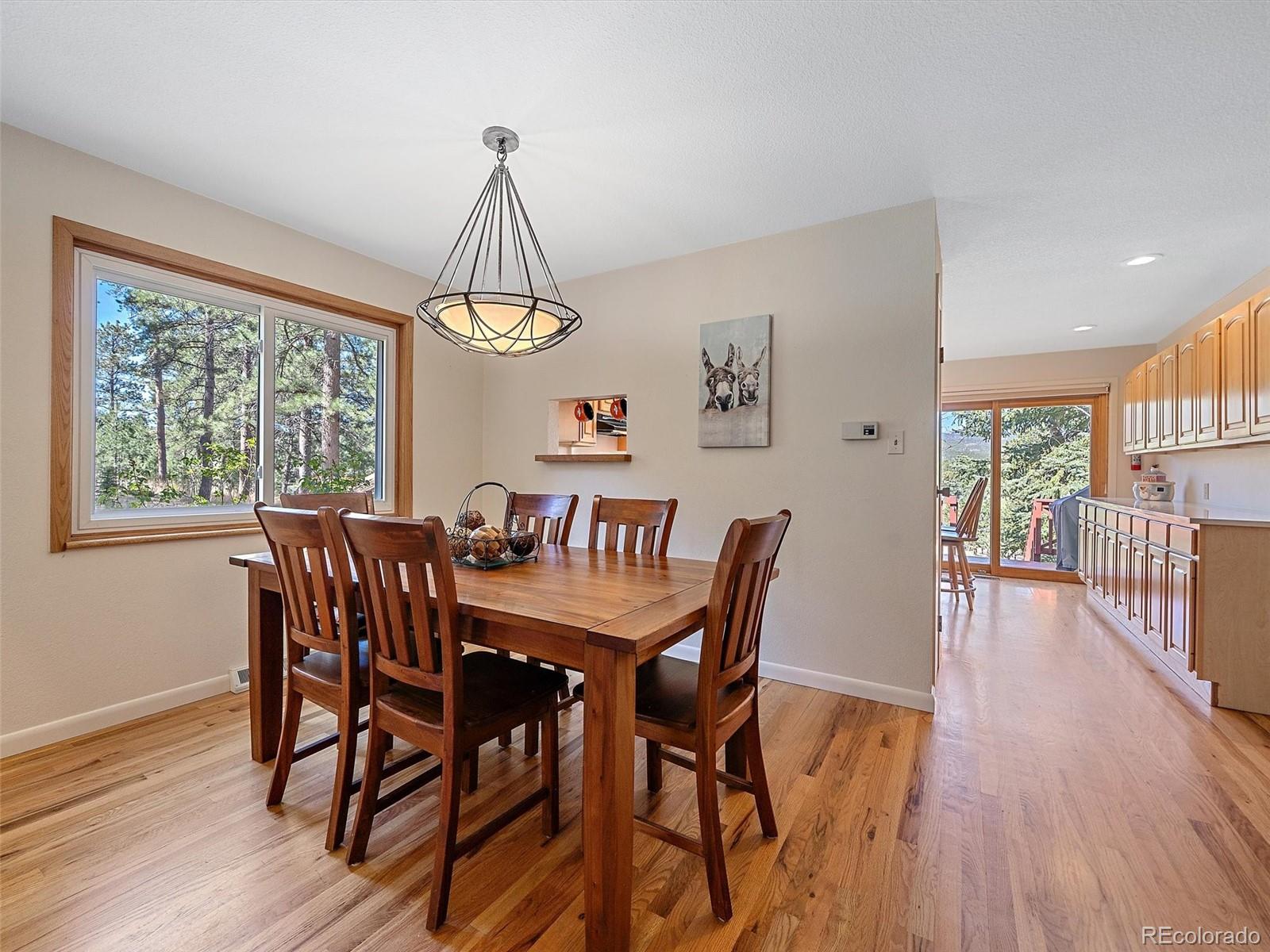 8731 Grizzly Way Evergreen CO 80439