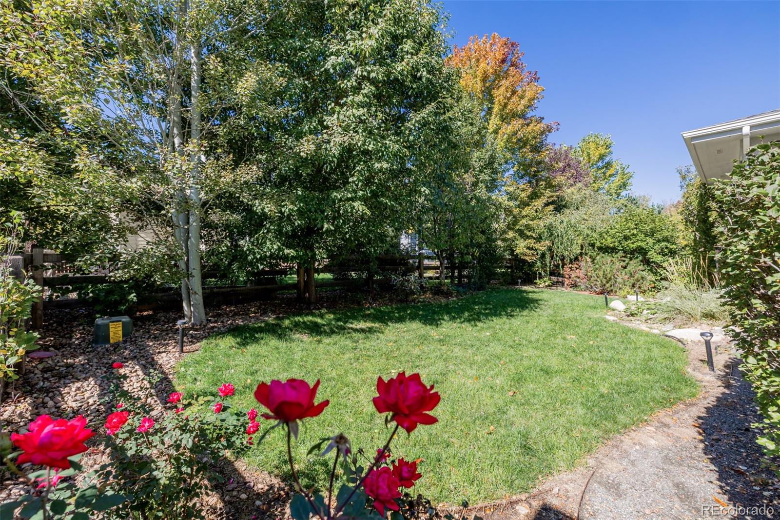1138 Mircos Street Erie CO 80516